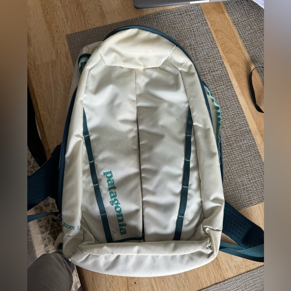 Patagonia Back pack